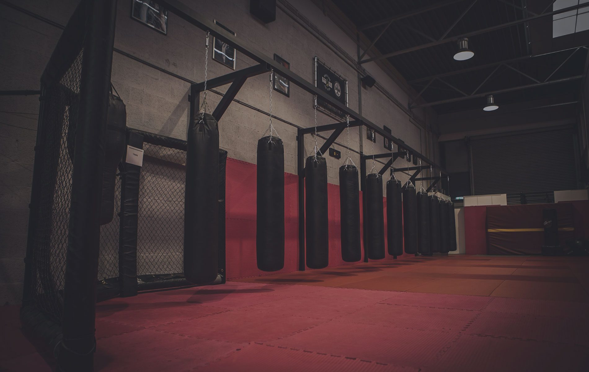 Fight Team Schiedam